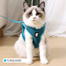 Anti-strike cat traction cat har
ness