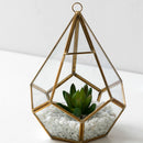 Artificial Succulent Bonsai Decor – Modern Greenery for Any Space