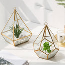 Artificial Succulent Bonsai Decor – Modern Greenery for Any Space