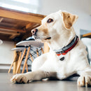 Smart Bluetooth Mini GPS Tracker Work with Android&iOS System isearching Tracker Mini Global Locator Pet Key Finder
