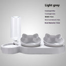 Food Basin Double Bowl Protective Cervical Spine Automatic Drinking Bowl Pet Supplies